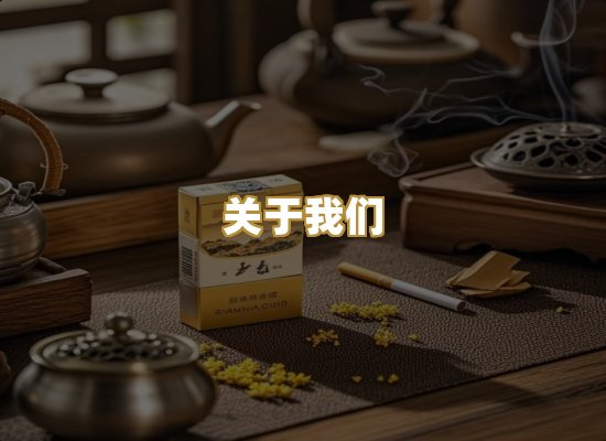 关于我们